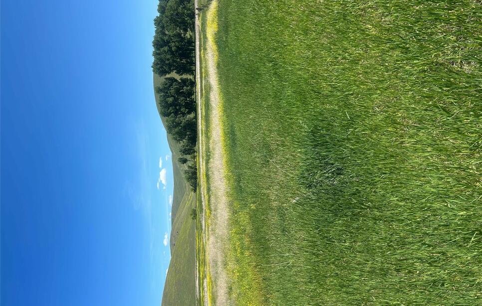 46624 Valley View Road, Ronan