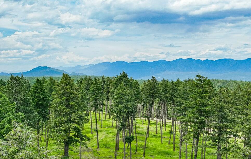 289 Layton Road, Whitefish