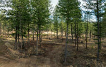 Lot 49 Basin Bend North Star Landing, Eureka