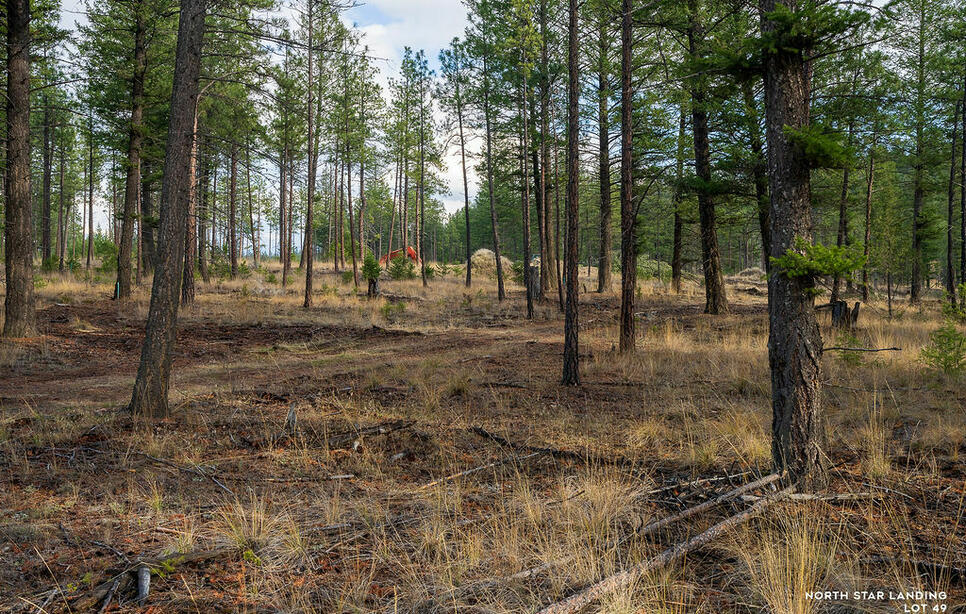 Lot 49 Basin Bend North Star Landing, Eureka