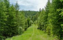 Fish Creek Road, Kalispell