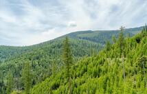 Fish Creek Road, Kalispell