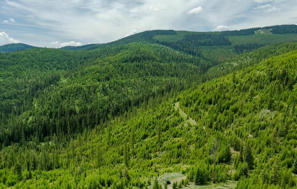 Fish Creek Road, Kalispell