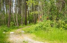 9234 Mt Highway 35, Bigfork