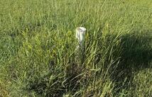 Nhn Thompson Lane, Kalispell