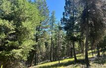 332 Racheals Meadow Lane, Kila