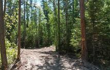 2225 Tamarack Lane, Columbia Falls