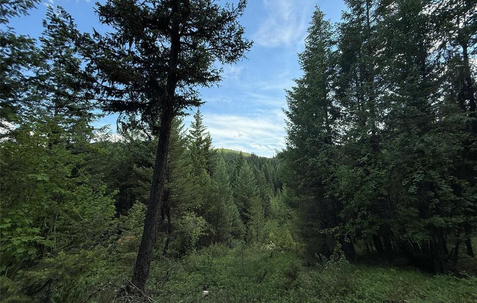 Nhn Yelping Coyote Run, Trego