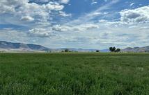 Nhn Garcon Gulch Road, Hot Springs
