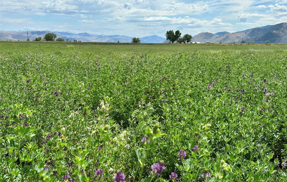 Nhn Garcon Gulch Road, Hot Springs