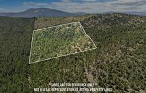 Nhn Wild Bill Road, Kila