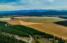 Farm To Market Road, Whitefish