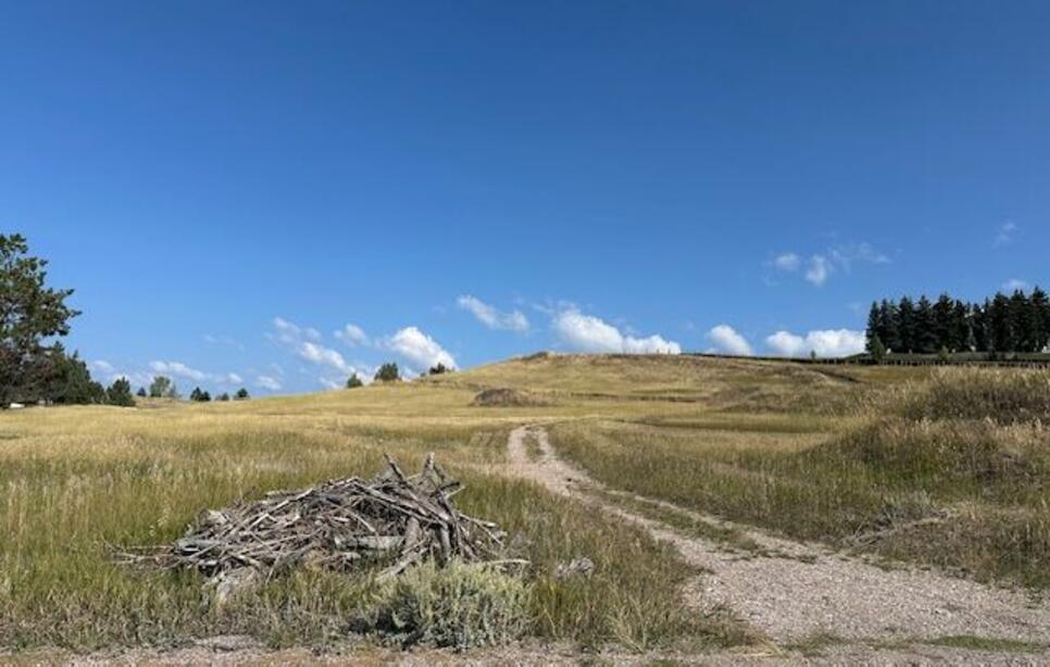 35716 Hills Drive Nhn Buena Vista Lane, Polson