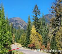 254 Beargrass Circle