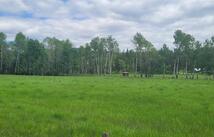 Lot 3 Brimstone Creek Road, Trego