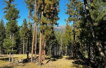 51 Coffee Drive, Eureka