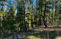 51 Coffee Drive, Eureka