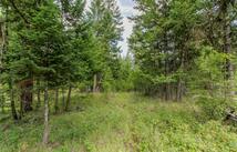 301 Haskill Ranch Road, Kila