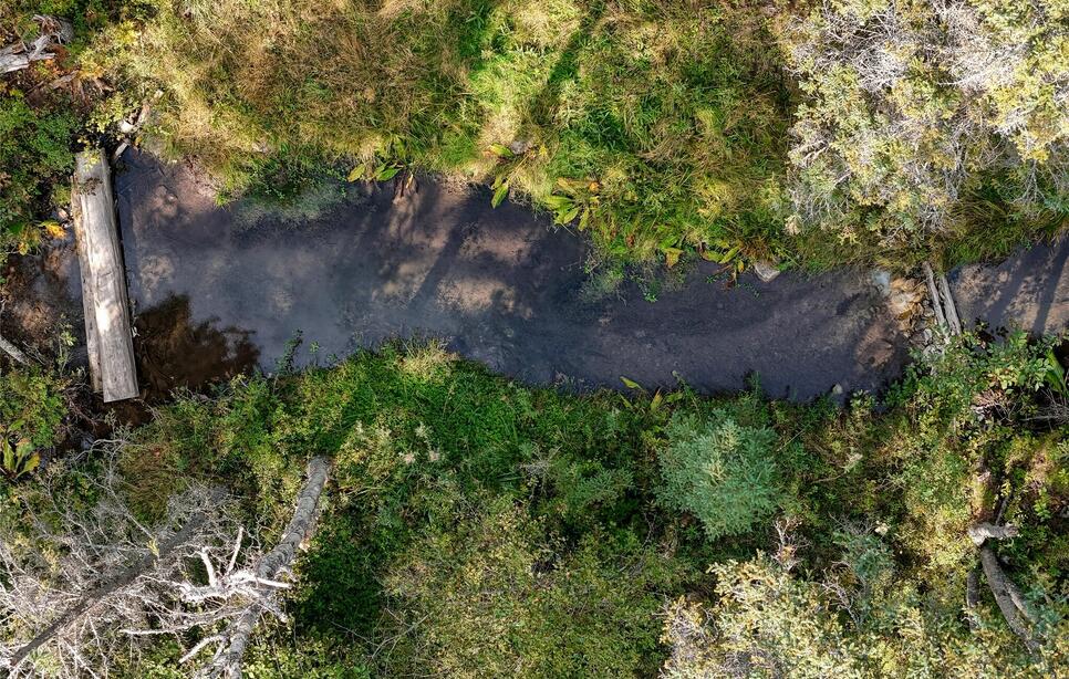 Tbd Lot #49 Gleneagles Trail, Columbia Falls