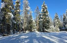 272/268 Moose Trail, Whitefish