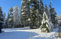 272/268 Moose Trail, Whitefish