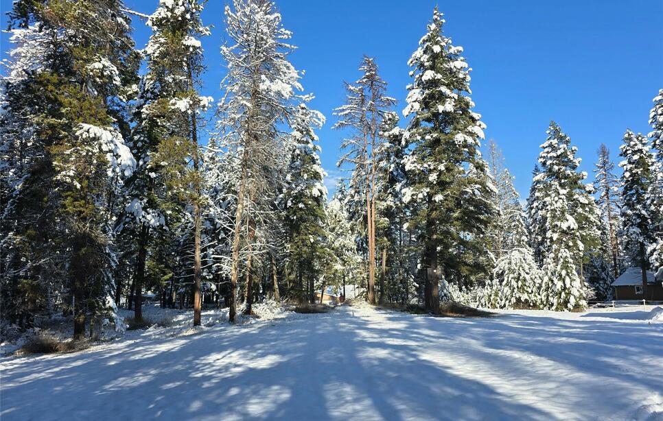 272/268 Moose Trail, Whitefish