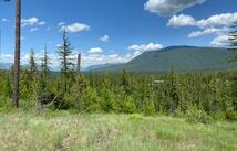 1414 Glacier Hills Drive, Martin City