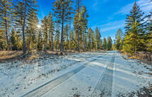 Dayton Creek Road Lot 2, Proctor