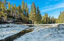 Dayton Creek Road Lot 2, Proctor