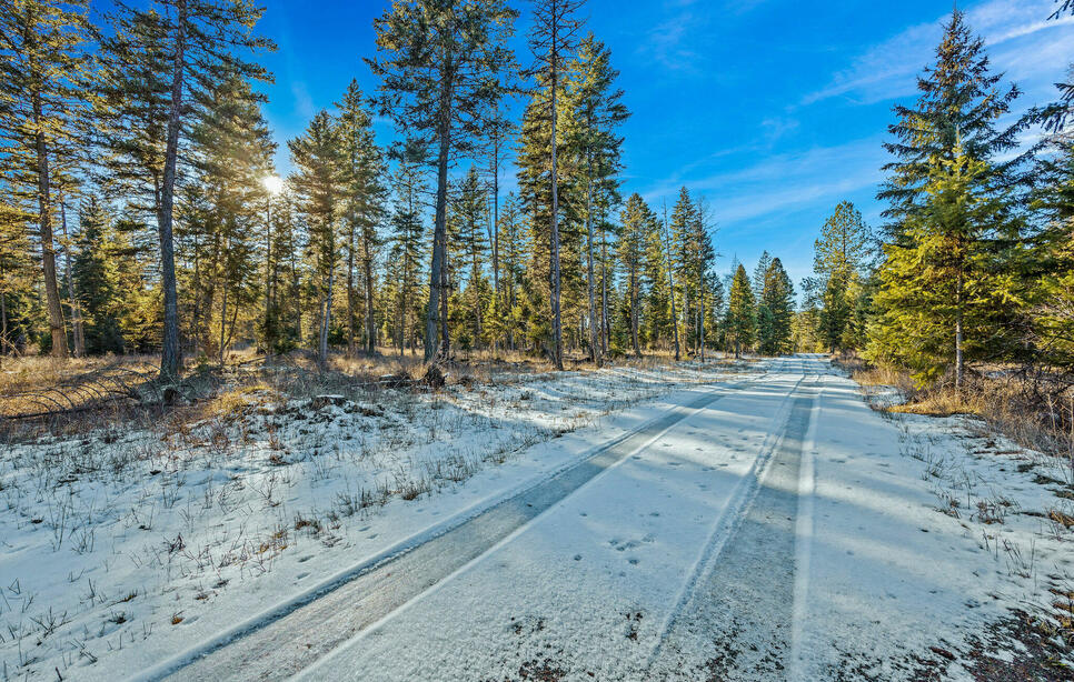 Dayton Creek Road Lot 2, Proctor