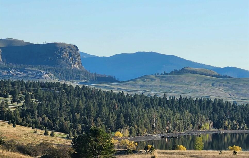 45122 Wild Horse View, Big Arm