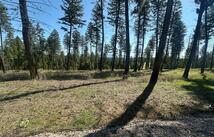 269 Layton Road, Whitefish