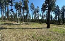 269 Layton Road, Whitefish