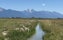 Nhn Robertson Road, Ronan