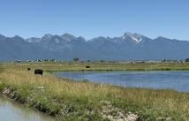 Nhn Robertson Road, Ronan