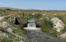 Nhn Robertson Road, Ronan