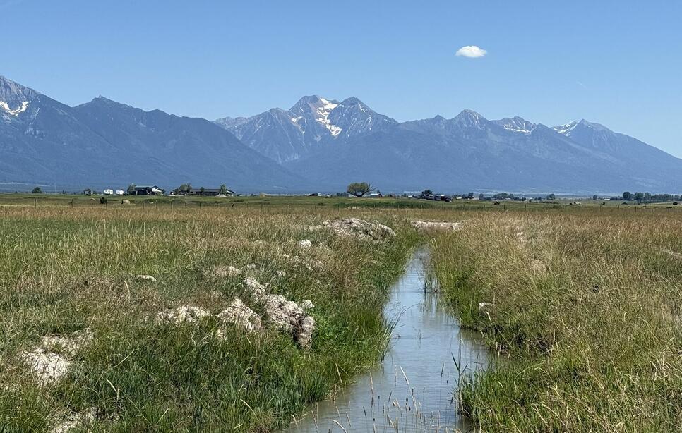 Nhn Robertson Road, Ronan