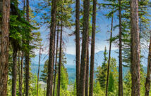 205 Ridge Run Court, Whitefish