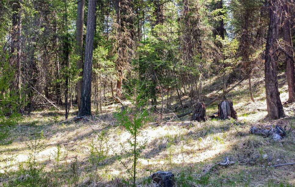 Lot 7 Whispering Pines, Fortine