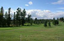 108 Golden Bear Drive, Bigfork