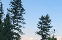 Lot 9 Angus Drive, Rexford