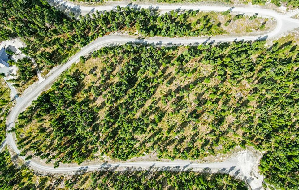 Lot 9 Angus Drive, Rexford