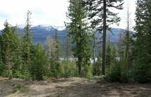 Nhn Into The Woods Trail, Bigfork