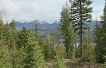 Nhn Into The Woods Trail, Bigfork