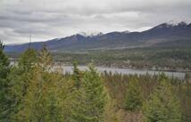 Nhn Into The Woods Trail, Bigfork