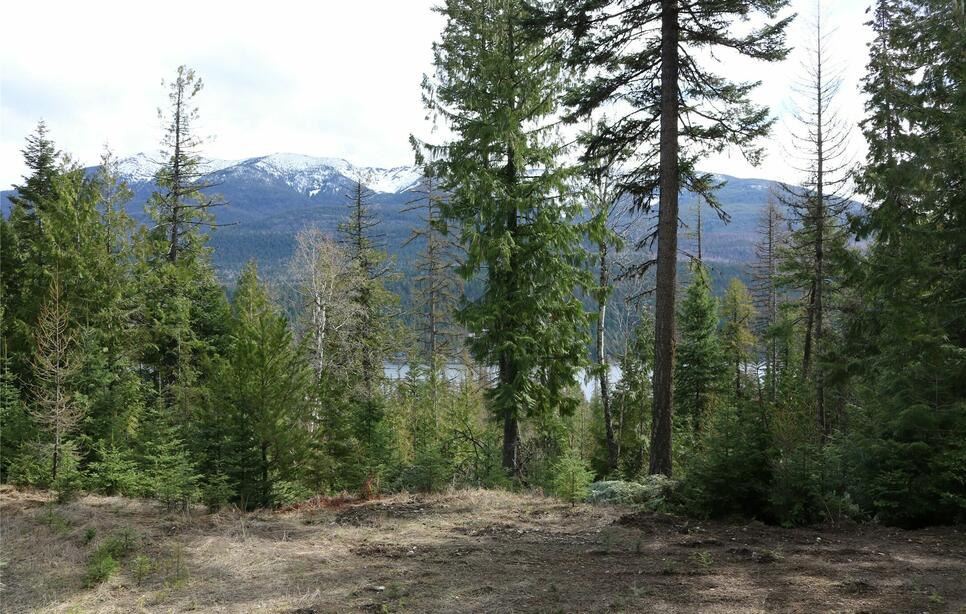 Nhn Into The Woods Trail, Bigfork