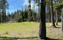 13962 Pine Street, Bigfork