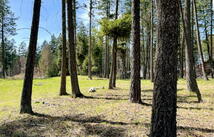 13962 Pine Street, Bigfork