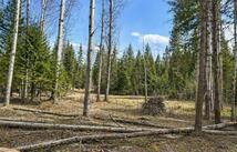 80 Blaney Lane 4.69 Acres, Kila