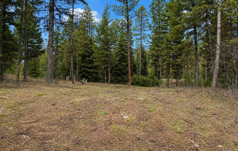 80 Blaney Lane 4.69 Acres, Kila